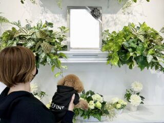 ペットも一緒に葬儀